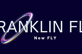 A Glimpse into the Future of the FLY Project and Seeking Diverse Opinions