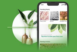 Indoor Gardening for Beginners: How Tech Tools Are Making It Easier Than Ever