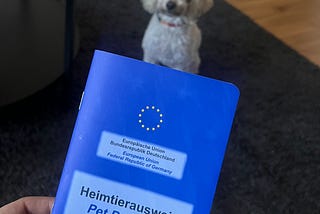 Viajar con un perro desde Costa Rica hasta Alemania.