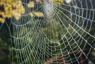 The Danger of Blind Tradition: Why Imitating Others Can Ensnare Generations