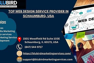 Top Web Design Service Provider In Schaumburg, USA