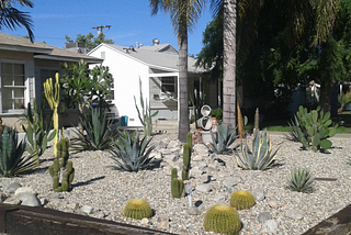 Tips to create a drought tolerant landscaping for homeowners