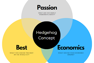 Concept Summary: The Hedgehog Concept