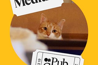 Orange and white cat looking directly at you with the “Medium Pub Crawl” stickers at the borders.