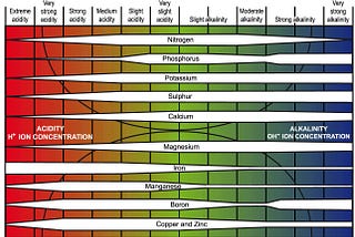 Why Does pH Matter in Hydroponics?