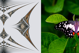 A BUTTERFLY IN THE QUANTUM WORLD