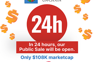 Only 24 hours Left Till Public Sale 1