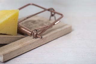 The incredible power of immediate feedback