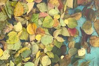 Leaves and Life.