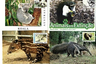 Wildlife pictured on stamps, postcards and maxicards.