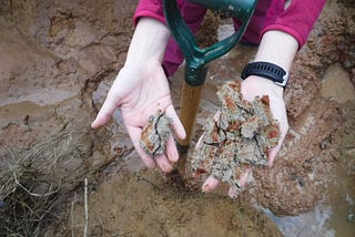 Seeing the world through soils