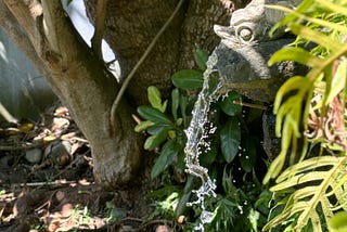 Greenery and a fountain where water burbles from stone statue’s mouth