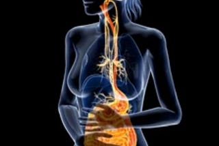 Leaky Gut, the Vagus Nerve, and Why Your Metabolism Depends on Both
