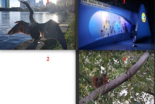 Simple image classification (persons, animals, other) on raspberry pi using custom model tflite…
