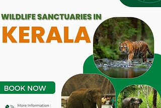 Exploring Kerala’s Biodiversity: An Exhaustive Manual for the Wildlife Sanctuaries in God’s Own…