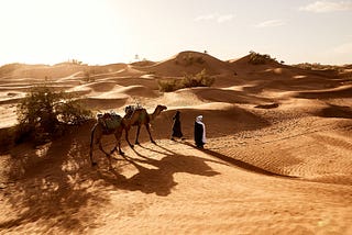 Le cose che non sai sul Marocco