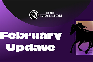 Black Stallion (BS) February Update