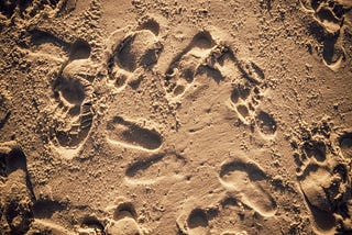 (GC)“Don’t listen to what people say, watch where their feet are going”*