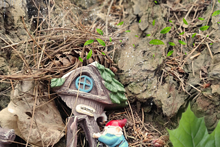 Broken shards of what was a gnome’s home, with a sign above the door, saying “Home” and a gnome wearing a blue coat and a red pointy cap. All arranged at the base of a bigleaf maple in a Seattle park with a trail of magical leaves passing through.