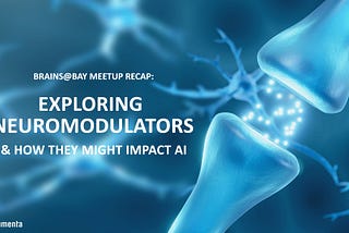 Exploring the Role of Neuromodulators in AI | Brains@Bay Meetup