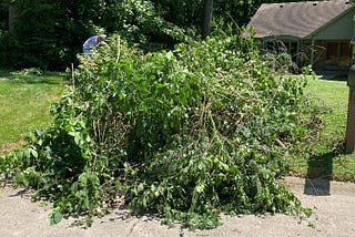 Taming A Wild Yard Helps You Through Difficult Situations