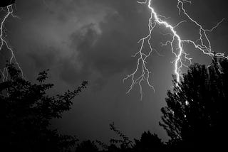 Lightning bolts in a forest