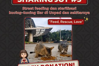 BEM FH Unpad Sharing Joy #3: Joy Shared With Community Cats!