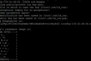Tutorial : How to configure Ansible on the top of AWS.