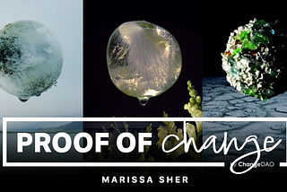 Video Artist Marissa Sher’s Earth Day Collection Elevates Climate Change