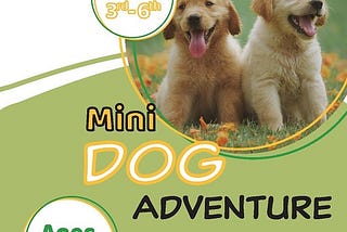 Dog Mini Adventure cover