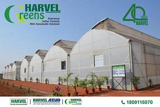 harvelgroup greenhouse