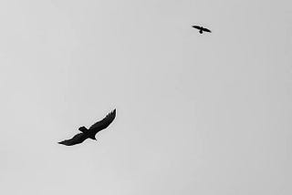 Taking a flight: