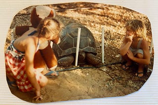 My sister and me, ages nine and six, looking at a giant tortoise in Kenya.