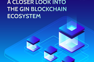 A Closer Look into the GIN Blockchain Ecosystem