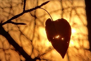 Wounded but Not Broken