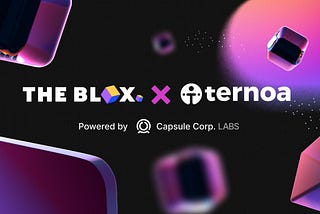 Ternoa x The Blox accelerator program