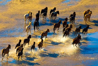 Living Systems and the Call for Civilizational Transformation