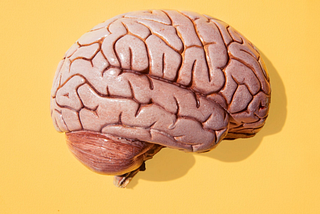 Why You Should Strengthen Your Brain Now
