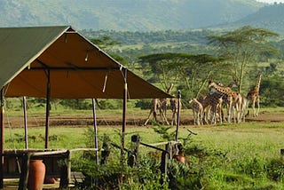 domestic holiday packages in kenya