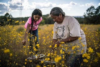 “Gather” Welcomes in the Restorative Revolution