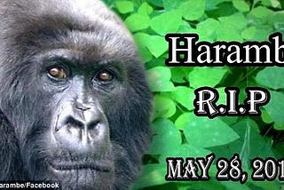 The Death and re:Death of Harambe