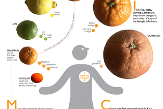 Joyful Infographics: A Friendly, Human Approach to Data by Nigel Holmes