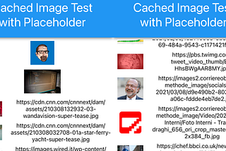 Extending Xamarin.Forms.Nuke on iOS to load a placeholder for images that fail to load