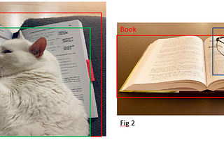 What is Image Classification? Data Augmentation? Transfer Learning?