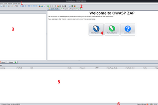 OWASP ZAP for beginners