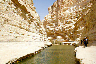 Pool of water in Ein Avdat Canyon, Israel