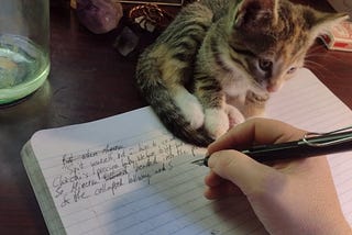 Inky, Rhythmic, Joyful: Writing Novels by Hand