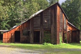 Day 28 — Pond Farm Chronicles
