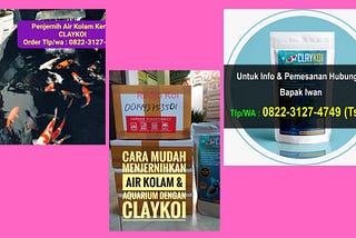 Tlp/WA : 0822–3127–4749 (Tsel), Produksi Penjernih Air Kolam Ikan Aquarium Berkualitas CLAY KOI di…