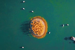 The gap between the Circular Economy and Design
